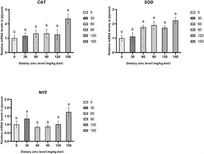 Zinc Methionine Improves the Growth Performance of Meat Ducks by Enhancing the Antioxidant Capacity and Intestinal Barrier Function